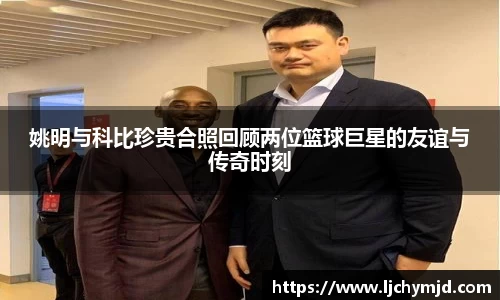 九游会·(j9)官方网站