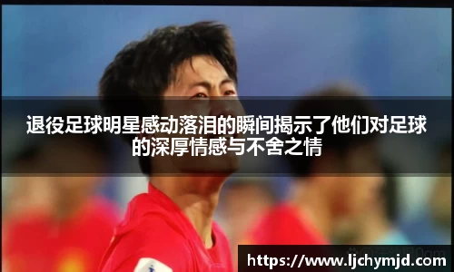 九游会·(j9)官方网站